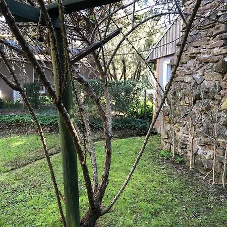 Black Range Erin Cottage, Tumbarumba Exterior photo